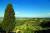 포도밭과 올리브밭 사이사이에 사이프러스나무가 우뚝 솟아있는 토스카나 풍경. 