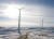 일본 소프트뱅크와 몽골 뉴컴이 합작해 고비사막 지대에 건설 중인 풍력발전소의 개념도. [사진 스구르에너지]
