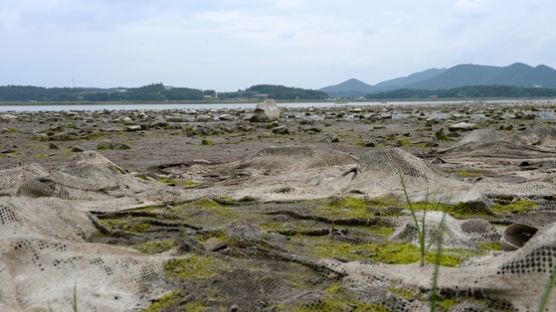 경기·충남·전남 가뭄 8월에나 해갈… 장마기간 강수량도 적을듯