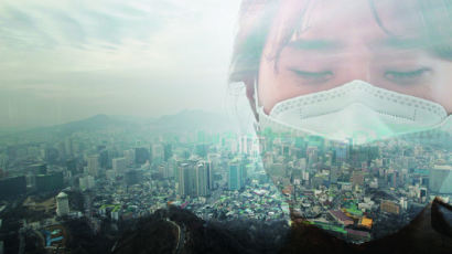 "한 해 한국인 1만4000명…대기오염으로 추가 사망한다"