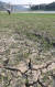 극심한 가뭄으로 11일 강원 인제군 남면 관대리 38대교 인근 소양호가 마른 바닥을 드러내고 있다. [연합뉴스]