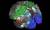 2016년 7월, 미국 워싱턴대와 영국 옥스퍼드대 등 국제공동연구팀이 대뇌피질을 180개 영역으로 나누고, 각 영역의 기능을 정리한 뇌지도 [사진 Matthew Glasser, David Van Essen, Washington University]