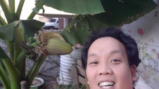 '대프리카'에 열린 바나나 나무 주인 김덕규 "비결을 물으신다면…"