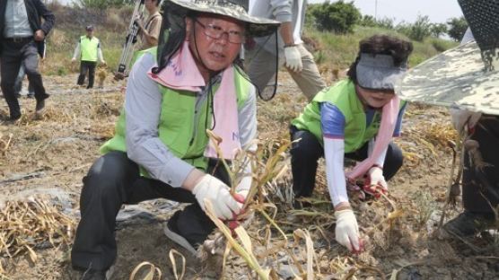 취임 하루 만에 농부로 완벽 적응한 장관