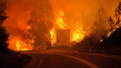 차에 갇힌 채 화마에...포르투갈 산불 사망자 최소 62명