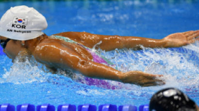 안세현, 유럽대회서 접영 100m 2위...세계랭킹 4위 기록