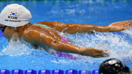 안세현, 유럽대회서 접영 100m 2위...세계랭킹 4위 기록