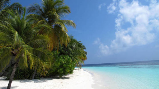 테러 경계 높이는 몰디브, 최고 휴양지 안전할까 
