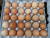 제과점 등에 납품된 깨진 계란 [사진 경기도 특별사법경찰단]