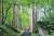 삼나무 숲에서 만난 뜻밖의 시원함, 일본 야마가타 하구로산.