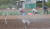 전국적으로 가뭄과 폭염이 기승을 부린 22일 부산 기장군 일광면 문중리 들녘에서 농민들이 스프링쿨러를 틀어 놓은 채 잔파를 수확하고 있다. 송봉근 기자