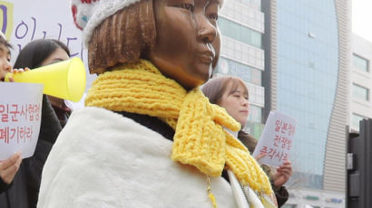 일본 영사관 앞 부산 소녀상 보호·관리 근거될 조례안 부산시의회 상임위 통과
