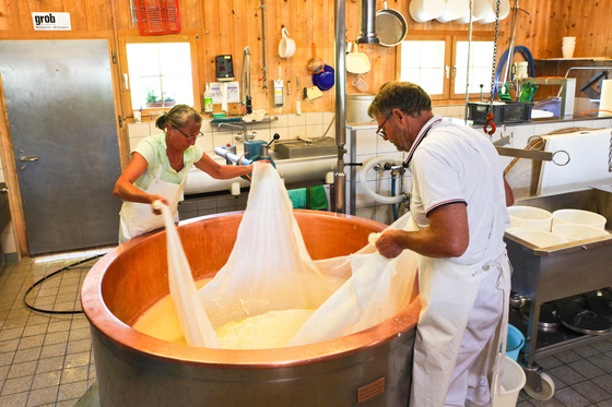클라바들러알프 카페 주방에서 치즈를 만드는 모습. 이날 아침에 짠 우유 500kg으로 치즈 50kg을 만든단다.
