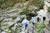 비둘기낭 현무암 지대. [사진 한국관광공사]