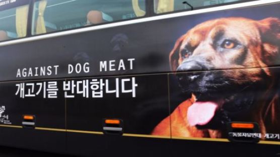 美하원 '한국 포함 전 세계 개고기 유통금지'결의안 발의 
