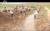 가뭄 전투에 동원돼 수로를 파고 있는 군인들의 모습. [사진 조선중앙TV캡처]