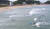 강원도 양양 죽도해수욕장은 국내 서퍼들이 모여드는 서핑 플레이스로 유명하다. [중앙포토]