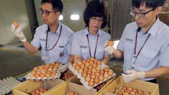 [사진] 반갑다, 태국산 계란