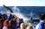 로스카보스는 고래 관광으로도 유명하다. [사진 멕시코관광청]