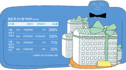 규제에도 끄떡없는 작은 아파트 … 27㎡ ‘강남 쪽방’이 7억