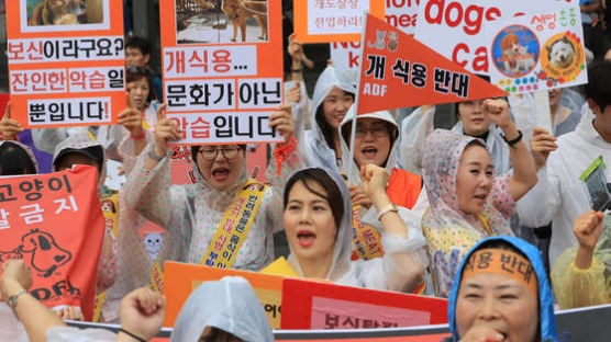 "우리는 음식이 아니에요"…'개고기·복날' 반대 행진