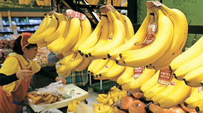 [사진] 바나나 ‘국민 과일’ 등극