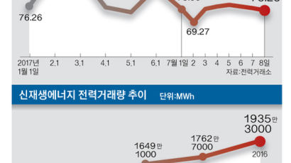 ‘햇빛만 쬐면 1달에 250만원?’...태양광발전 재테크 극성 