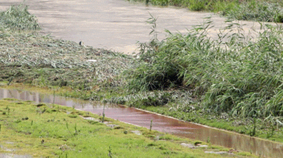 폭우로 불어난 춘천 공지천에서 급류 휩쓸려 여성 1명 사망 