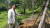 통영시 공원녹지과 이충환 과장이 윤이상 선생의 묘소에 옮겨 심었던 동백나무가 있던 자리를 가리키고 있다. 위성욱 기자 
