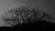 포월침두(抱月枕斗)가 있는 경남 거창 보해산 자락을 배경으로 선 용산리 느티나무의 모습. 포월침두 주인이 귀촌 첫날 카메라에 담았다. [사진 조민호] 