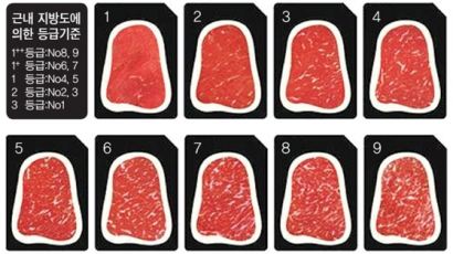 [논란 끊이지 않는 소고기 등급] 한우 72%가 1·1+·1++ 등급