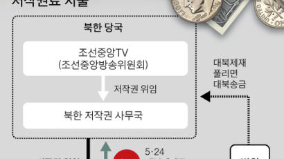 [평양 오디세이] “북 선전영상 돈 주고 봐야 하나” … 대북 저작권료 지불 논란