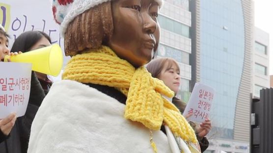 [취재일기]부산시 vs 동구청, 일본 놔두고 우리끼리 '소녀상 핑퐁게임'해서야