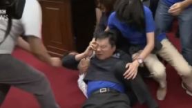 국회 아수라장 만든 대만 국회의원들의 '헤드록 혈투'