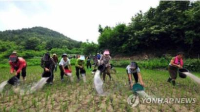 최악의 가뭄 직면한 북한 주민, 1인당 하루 두부 1모 분량 배급받아 