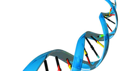 한국인 갑상선암 일으키는 유전자 찾았다
