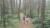 지난 14일 서천 국립생태원에서 직원들이 ‘제인 구달 길’을 걷고 있다. 생태원은 구달의 생명 사랑 정신을 기리기 위해 2014년 11월 길을 조성했다. [신진호 기자]
