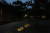 서울대공원 동물원이 야간 개장을 위해 동물 발바닥 모양의 조명을 설치했다. [사진 서울시]