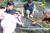 경남 밀양 꽃새미마을 팜스테이 체험객들이 지난 22일 계곡에서 아이들과 함께 잡은 물고기를 놓고 이야기를 나누고 있다. [위성욱 기자]