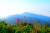 지리산 노고단의 야생화가 이룬 &#39;하늘 정원&#39;의 모습. [사진 국립공원관리공단]
