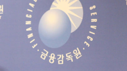 금감원 "대기업 총수, 금융회사 지배 문제 없어" 잠정 결론