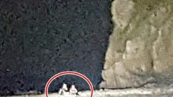 제부도서 밀물에 바위에 고립된 여성 관광객 2명 구조