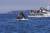 3~9월에는 토피노 앞바다를 지나는 고래 떼를 볼 수 있다. [사진 캐나다관광청]