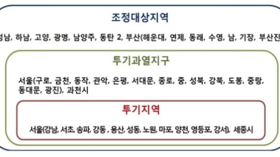 [8·2 부동산대책] 서울,과천,세종 다주택자 양도세 중과… 부동산 투기와 전쟁 본격화