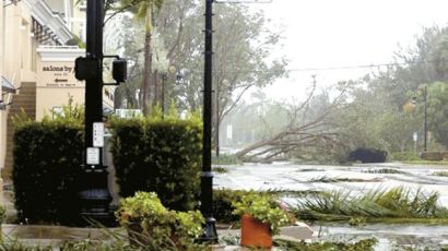 '어마' 플로리다 강타…110마일 강풍·물폭탄 