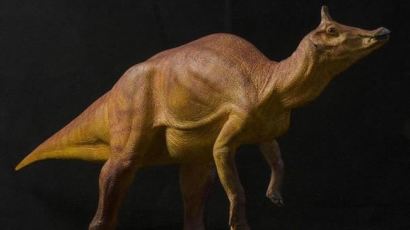'아거스티노로퍼스' 가주 대표 공룡 탄생 