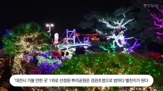 [굿모닝 내셔널]문 대통령 찾았던 대전 뿌리공원, 빛의 향연으로 전국 명소 