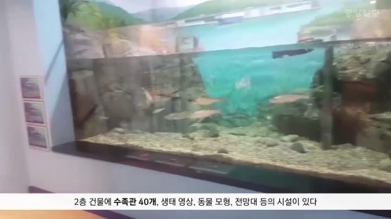 [굿모닝 내셔널]각시붕어, 납자루,연어...태화강생태관 가보니