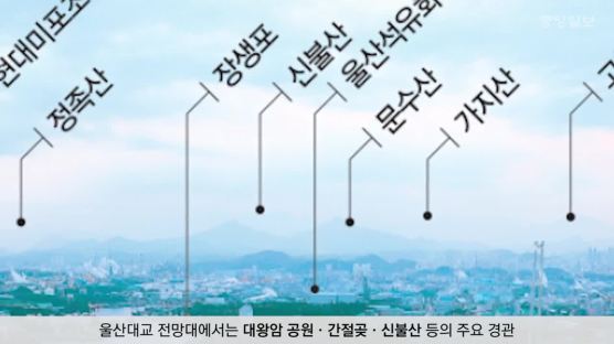 [굿모닝 내셔널]‘울산 12경을 파노라마처럼’…새 명소로 뜬 울산대교 전망대 가보니