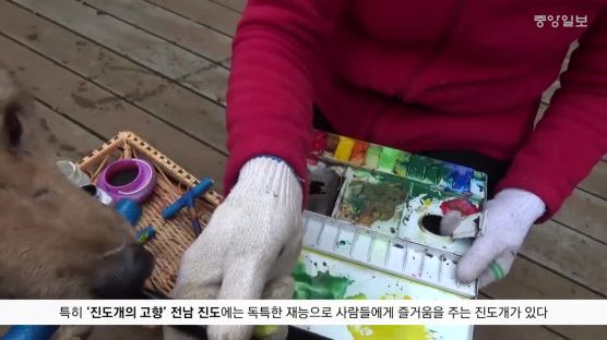 [굿모닝 내셔널] 견공계의 피카소…그림 그리는 '진도개'